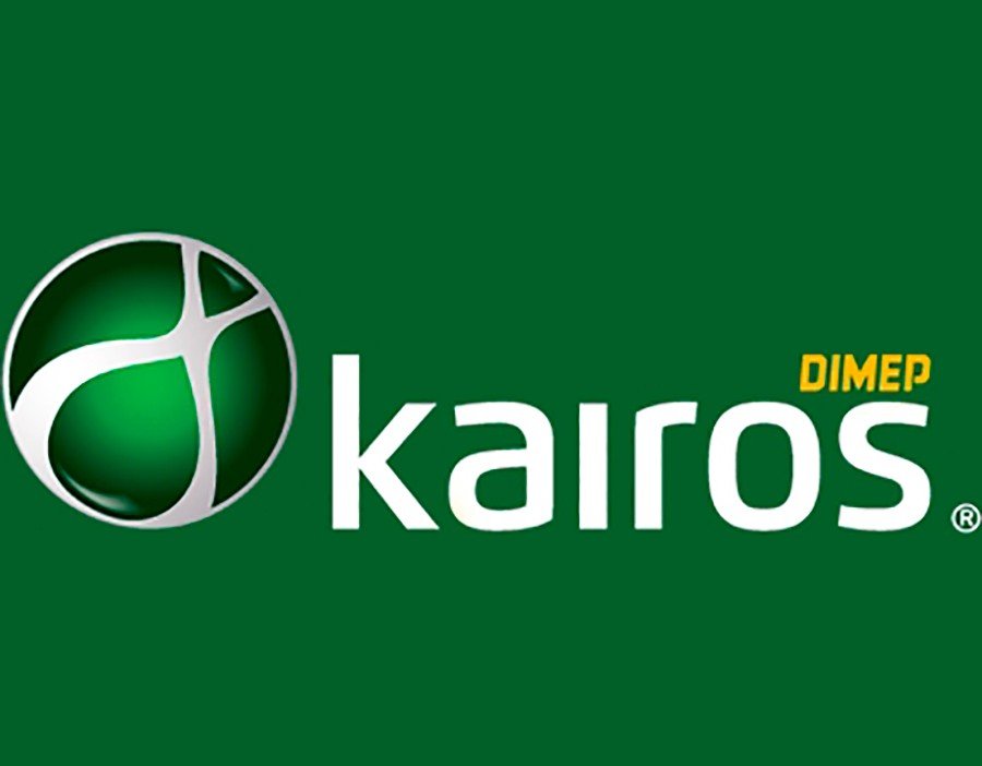 SAAS KAIROS PRO 881 - ATÉ 10 COLABORADORES E 1 CNPJ